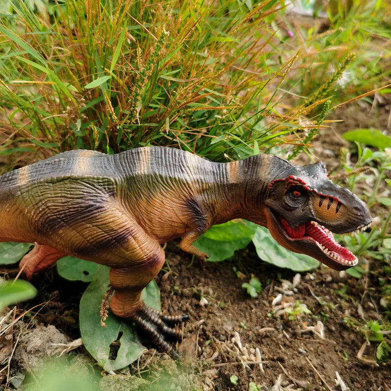 Prehistoric Dino Models